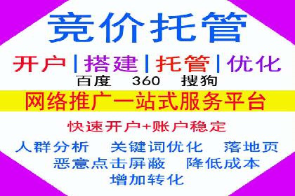 如何在sem竞价托管中取得卓越效果——案例解读